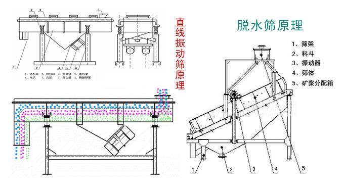脫水篩和直線振動篩有啥不同